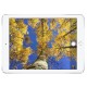 Apple iPad Pro